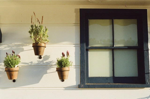 house-window-flowerpots (1)